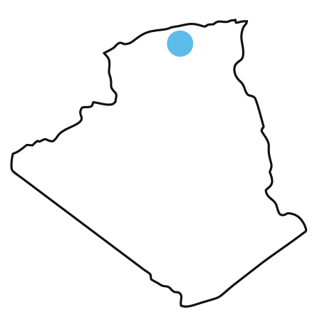 Carte de l'Algérie avec implantation M&M France