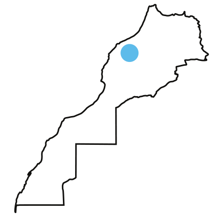 Carte du Maroc avec implantation M&M France