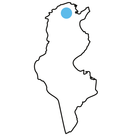 Carte de la Tunisie avec implantation M&M France