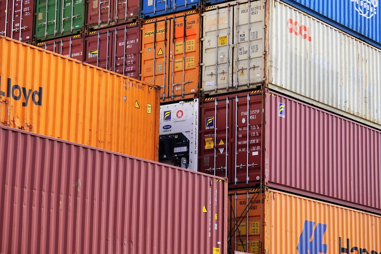 Conteneurs au port, opérations de dédouanement par un Représentant en Douane Enregistré
